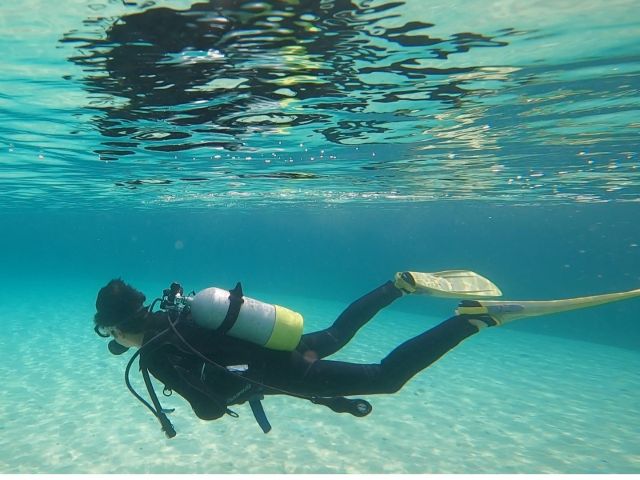 真っ白の砂地。