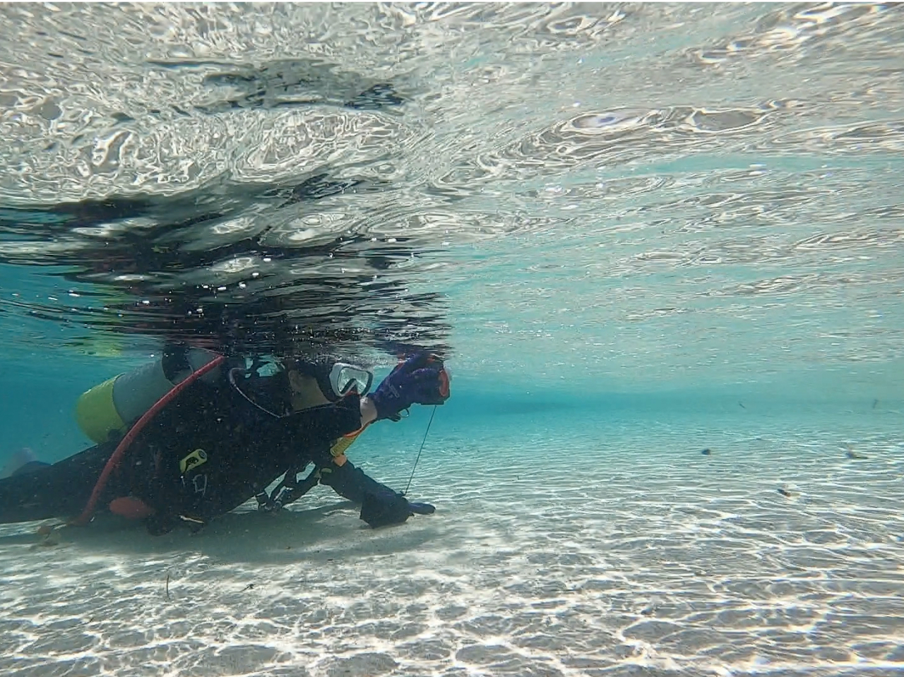 キラキラの砂地