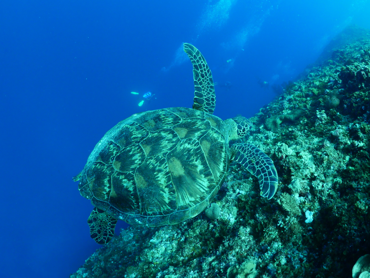 �E�~�K���Əo��邩���I