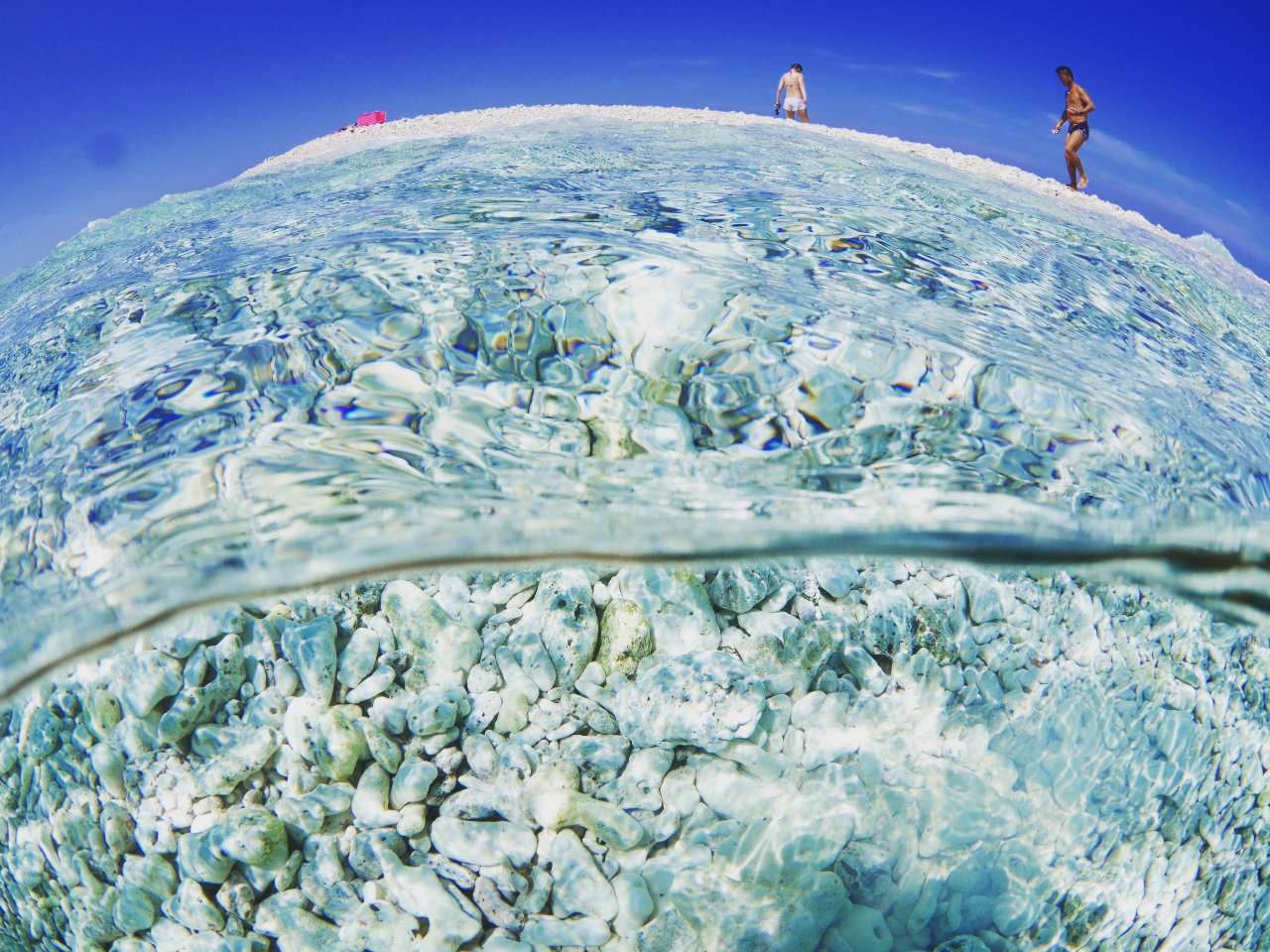 ���̓��A�o���X�����ł��邱�Ƃ������`�I