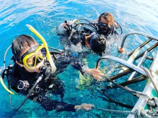 ハシゴや潜降ロープを使ってゆっくり