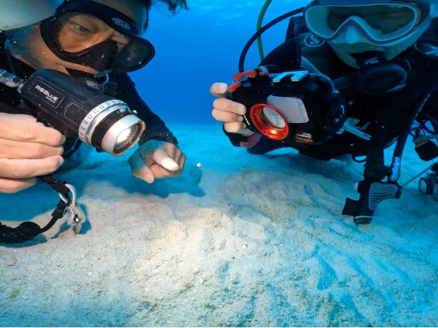海の中も完全少人数でサポート。周りを気にせず写真を撮ることもできます
