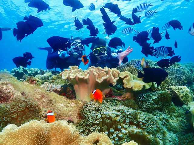 沖縄 感動 体験ダイビング サンゴ礁と熱帯魚の餌付け満喫 完全貸切 大人気gopro写真 動画無料 安心 地元沖縄人ガイド 口コミ 写真満足度no1 沖縄ダイビング 美ら海グーニーズ じゃらん遊び体験 沖縄 感動 体験ダイビング サンゴ礁と熱帯魚の餌付け満喫 完全貸切 大人気gopro写真 動画無料 安心 地元沖縄人ガイド 口コミ 写真満足度no1 沖縄ダイビング 美ら海グーニーズ じゃらん遊び体験