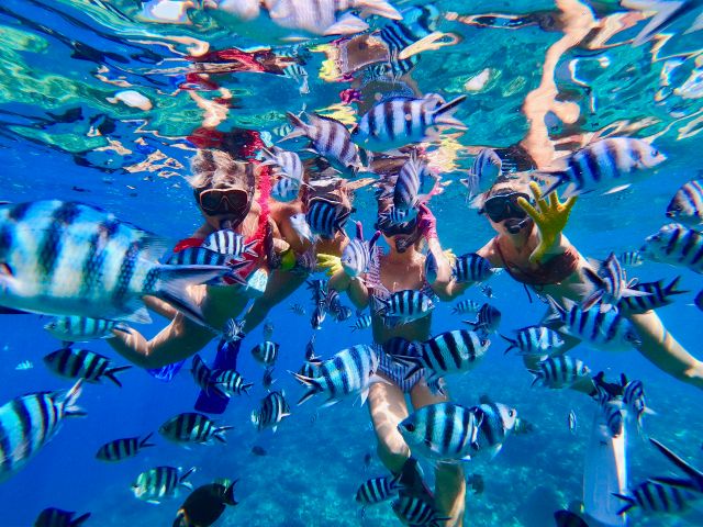 沖縄 青の洞窟 シュノーケル 青の洞窟と熱帯魚の餌付け満喫 大人気gopro写真 動画無料 安心 地元沖縄人ガイド 口コミ 写真満足度no1 沖縄ダイビング 美ら海グーニーズ じゃらん遊び体験 沖縄 青の洞窟 シュノーケル 青の洞窟と熱帯魚の餌付け満喫 大人気gopro写真 動画無料 安心 地元沖縄人ガイド 口コミ 写真満足度no1 沖縄ダイビング 美ら海グーニーズ じゃらん遊び体験