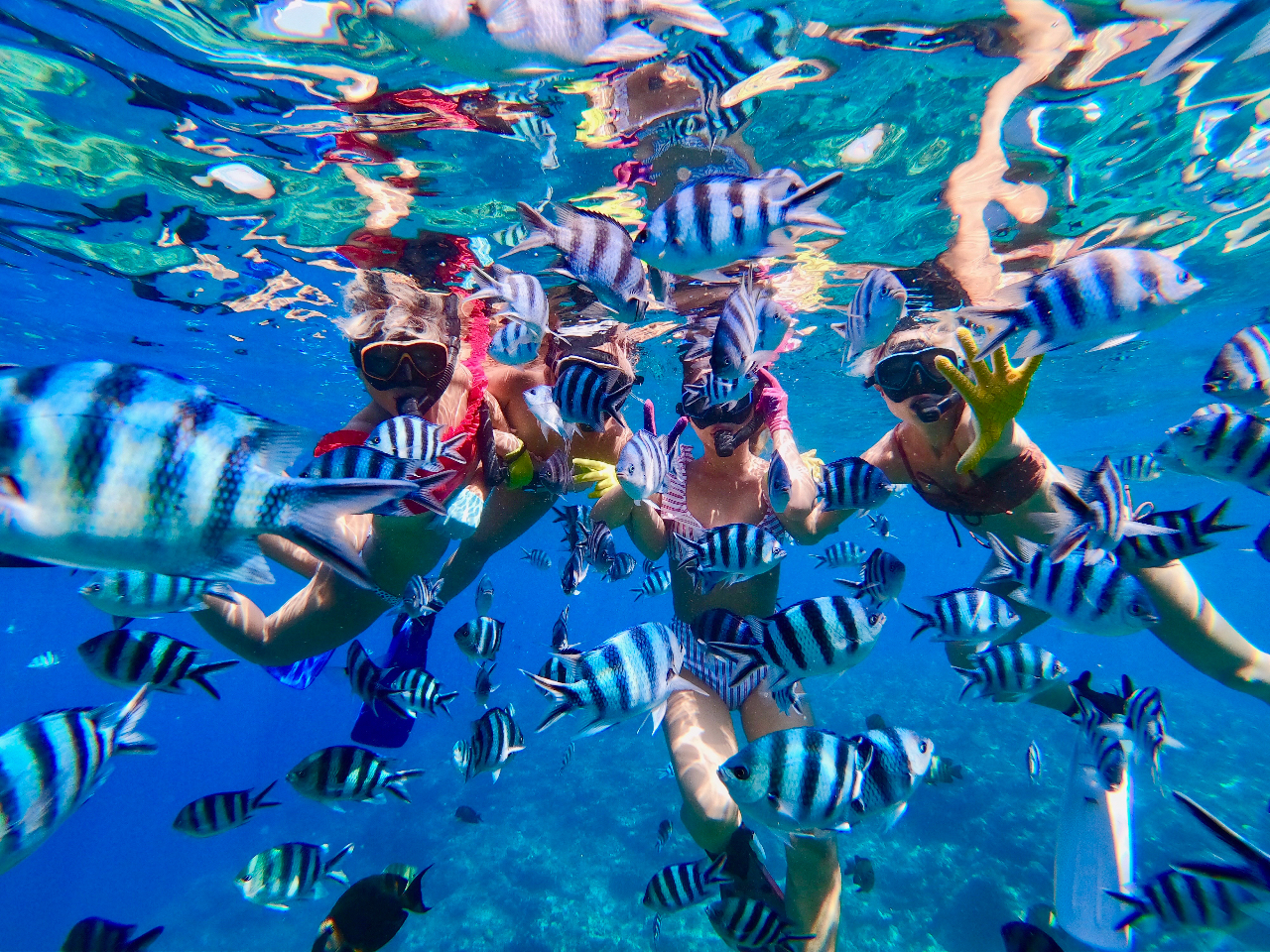 沖縄 感動 シュノーケル サンゴ礁と熱帯魚の餌付け満喫 大人気gopro写真 動画無料 安心 地元沖縄人ガイド 口コミ 写真満足度no1 沖縄ダイビング 美ら海グーニーズ じゃらん遊び体験 沖縄 感動 シュノーケル サンゴ礁と熱帯魚の餌付け満喫 大人気gopro写真 動画無料 安心 地元沖縄人ガイド 口コミ 写真満足度no1 沖縄ダイビング 美ら海グーニーズ じゃらん遊び体験