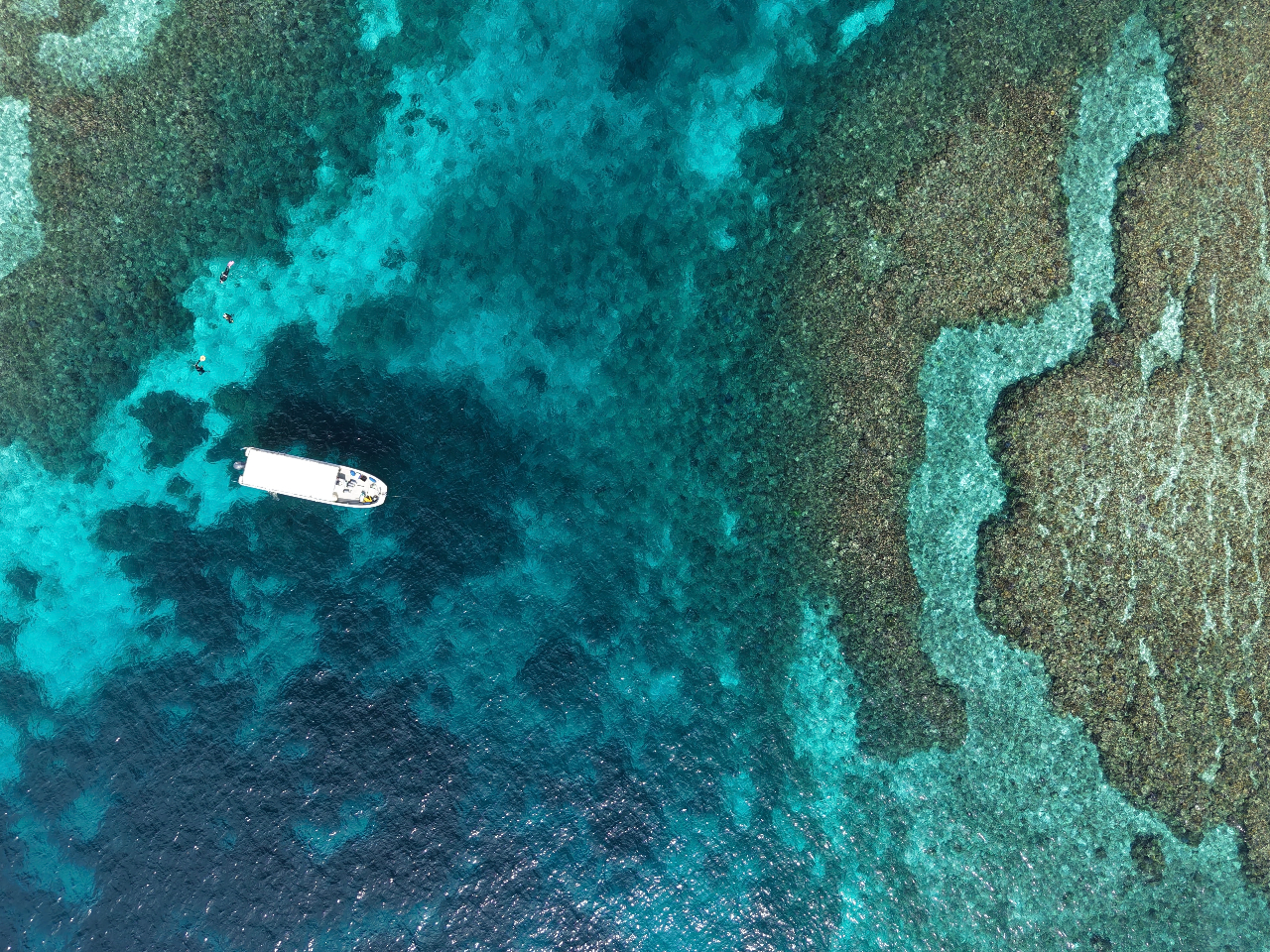 大サンゴ礁【八重干瀬（ヤビジ）】／半日ボートシュノーケル