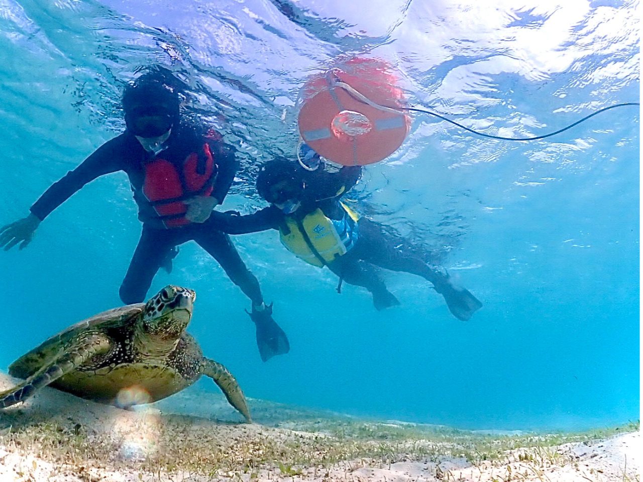 �V��C�݂̊C�K���ɂ�����I