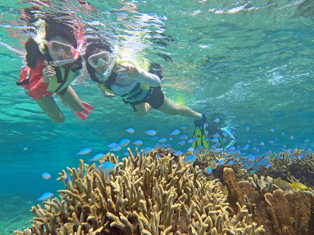 �K�C�h�ƈꏏ�Ɉ��S���Ă��q������j���܂��I�I�E�E�E��