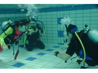 大阪 城東区 ダイビング ブランクを埋めて再デビュー リフレッシュプラン スクーバアドベンチャー トリトン じゃらん遊び体験 大阪 城東区 ダイビング ブランクを埋めて再デビュー リフレッシュプラン スクーバアドベンチャー トリトン じゃらん遊び体験