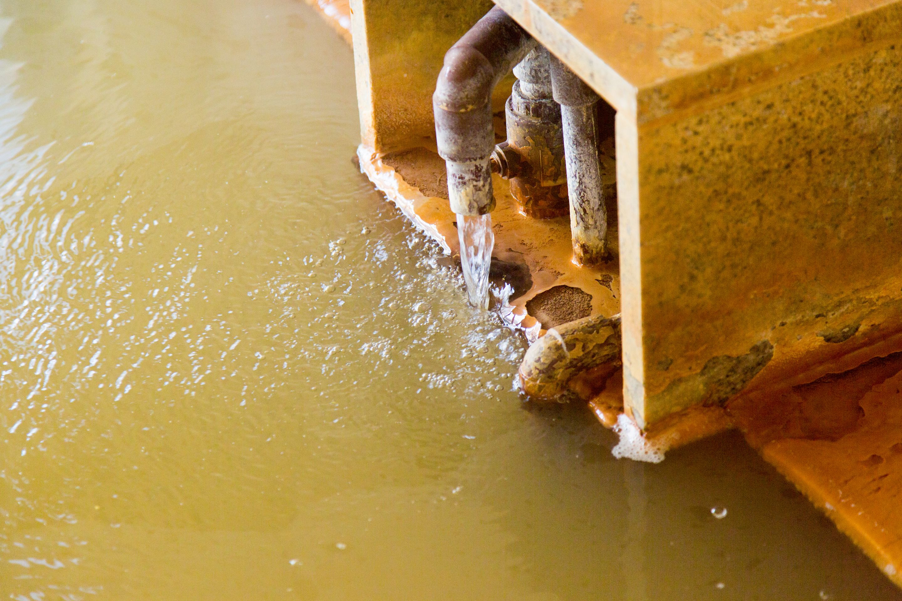 򎿂 h̓h ƂĂL }OlVEEigEY_f