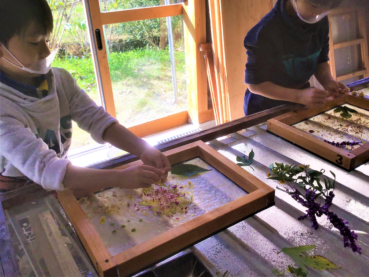 A3TCY̘ǎ^gɍDȑԂ𓧂݂܂B(ی`ł܂j