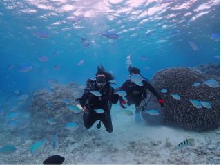 Gotoトラベルクーポン対象 ビーチ貸切ファンダイビング Gopro無料レンタル ダイビングショップ モーグル じゃらん遊び体験