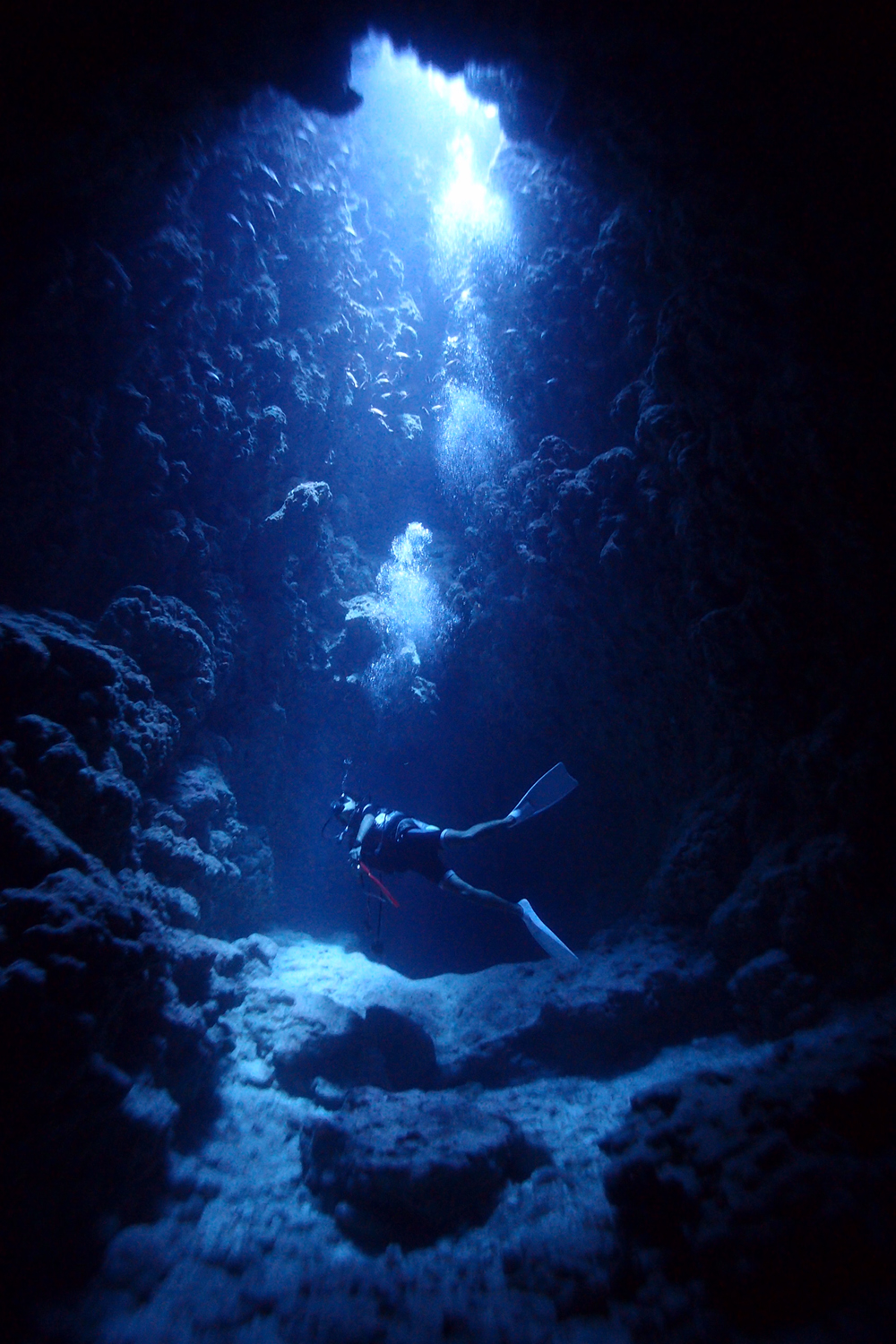 {ÓȂł͂̒n`_CrOɂƂEEEB