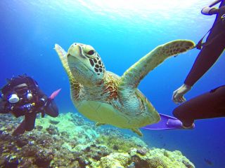 素敵な出会いがあるかも!