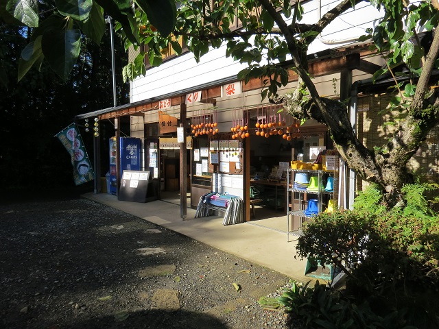 【栗拾い体験】\子育て世代に嬉しい3才以下無料/深まる秋の味覚をお持ち帰り♪ファ...
