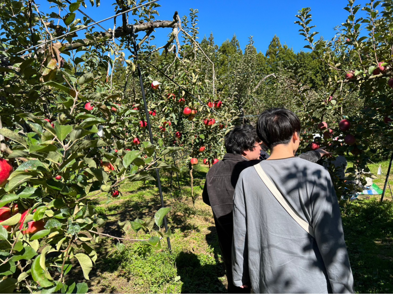 【岐阜県・中津川】【11月限定時間無制限プラン】\子育て世代に嬉しい3才以下無料...