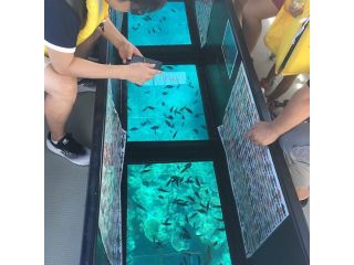【海に潜らず!】グラスボートで海の中を覗いてみよう!\お子様でも安心★全世代に大人気/【ファミリーやカップルにもオススメ】