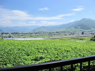 休憩所からの見晴らしです。