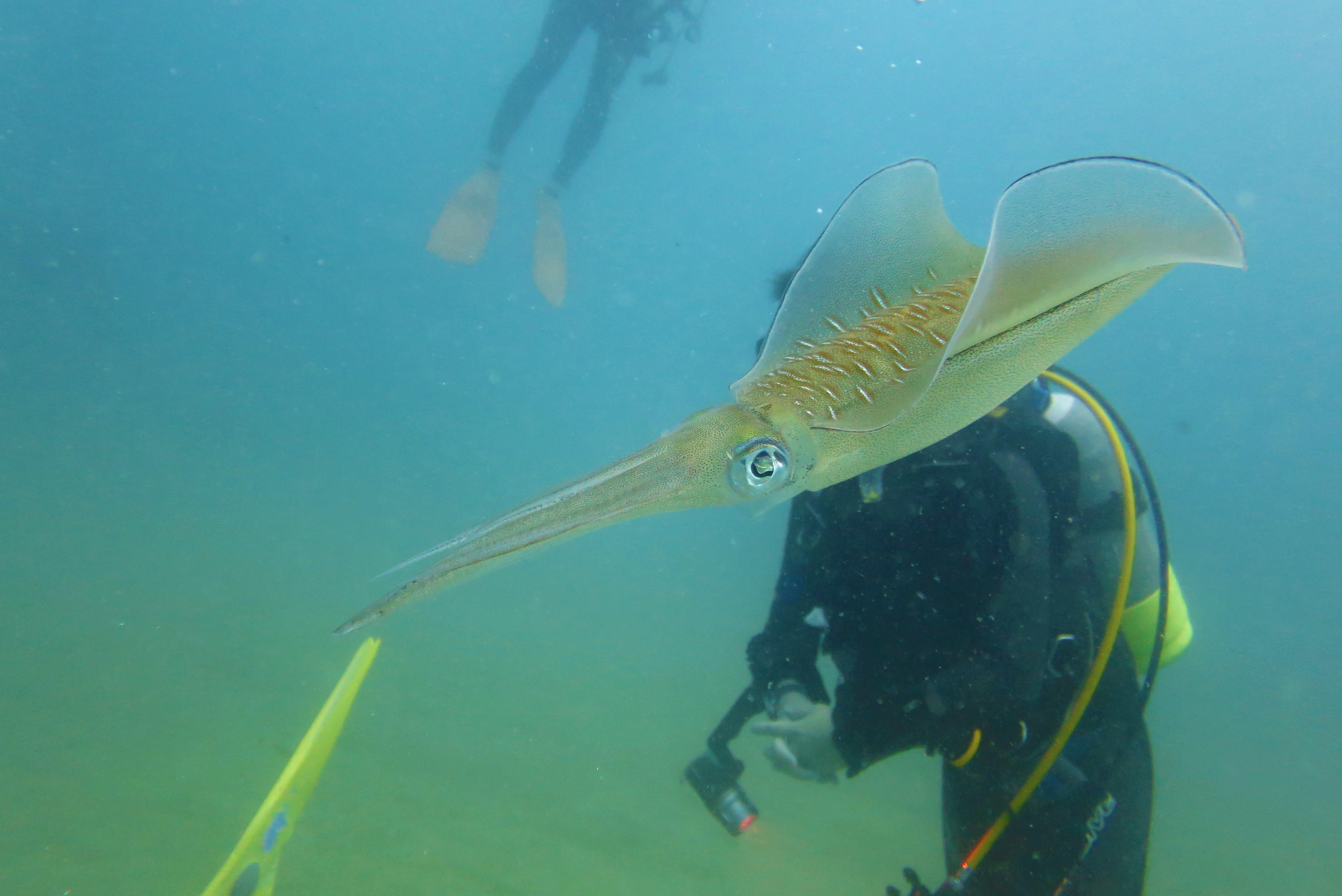 YV[Yɂ͊ԋ߂ŃAICJ邱Ƃ