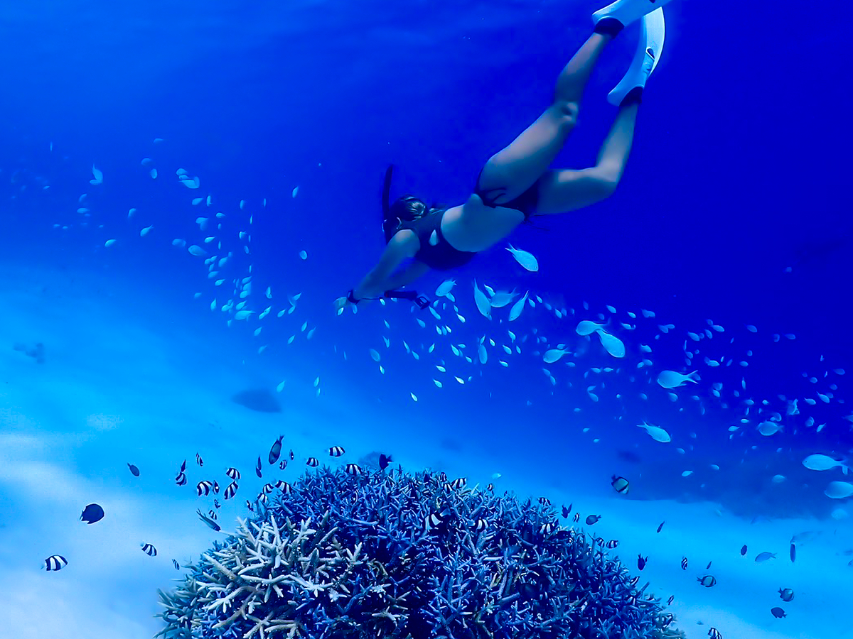 _CrO30Nȏ̌oāAVɍ킹œKȃ|Cgւē܂I