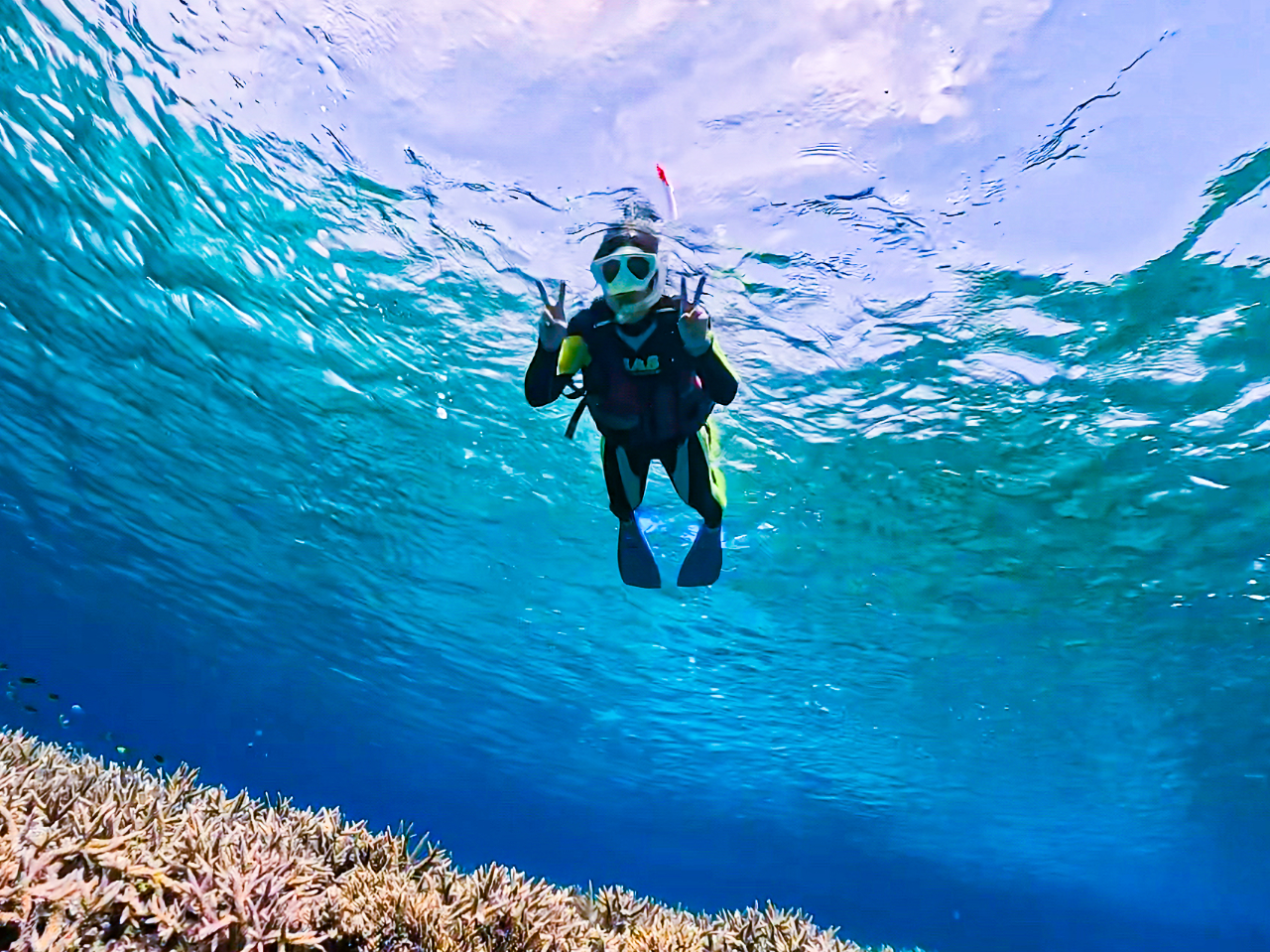 jɕsAxe_Co[s܂̂ňSł