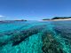 透明度抜群の海で体験する、感動のシュノーケリング!