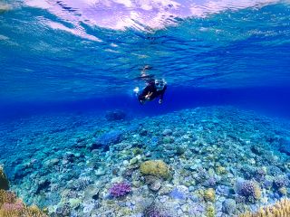 世界が恋する海で最高の思い出を♪