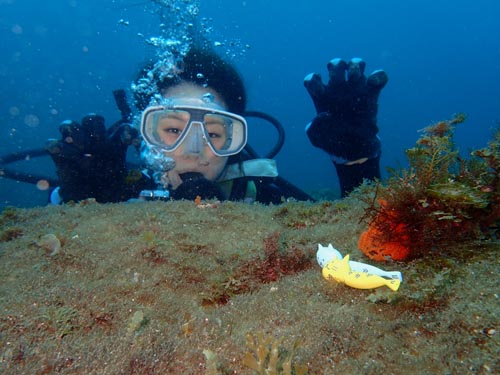 体験ダイビング!!ビーチエントリー(未経験者~)午前プラン