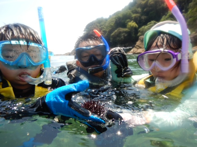 【シュノーケリング】安全に海を体験!色んな生物を見ることができます♪