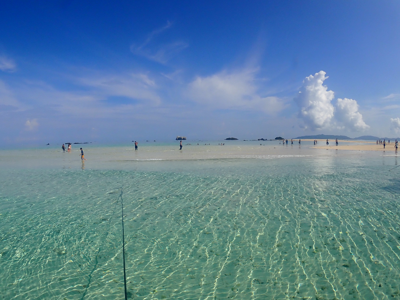 ӂ̊C̃LCƋ̐FɈ|Ă܂܂!!