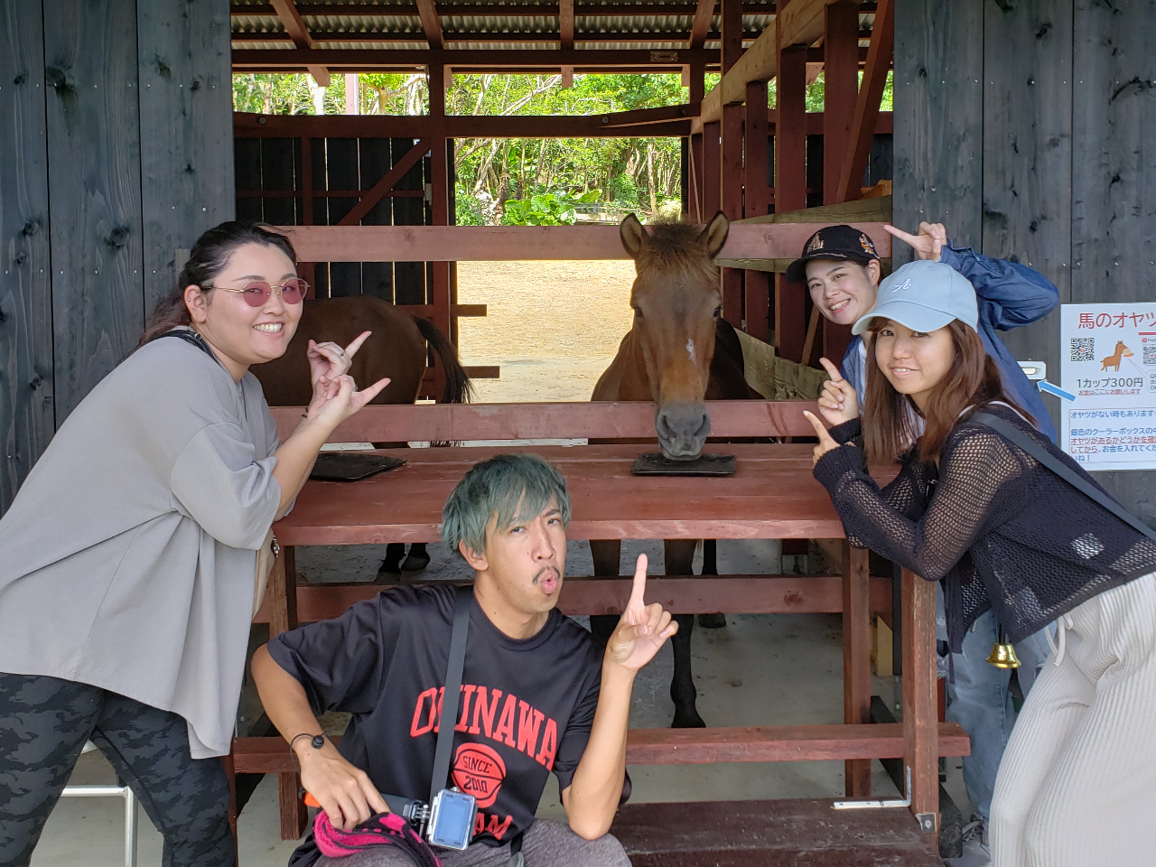 ヨナグニ馬に餌あげ体験もできるよ!