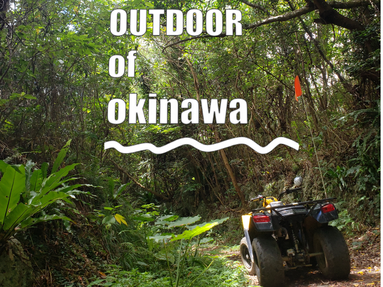 ̑厩R삯낤II܂ʁc{iAhx`[I