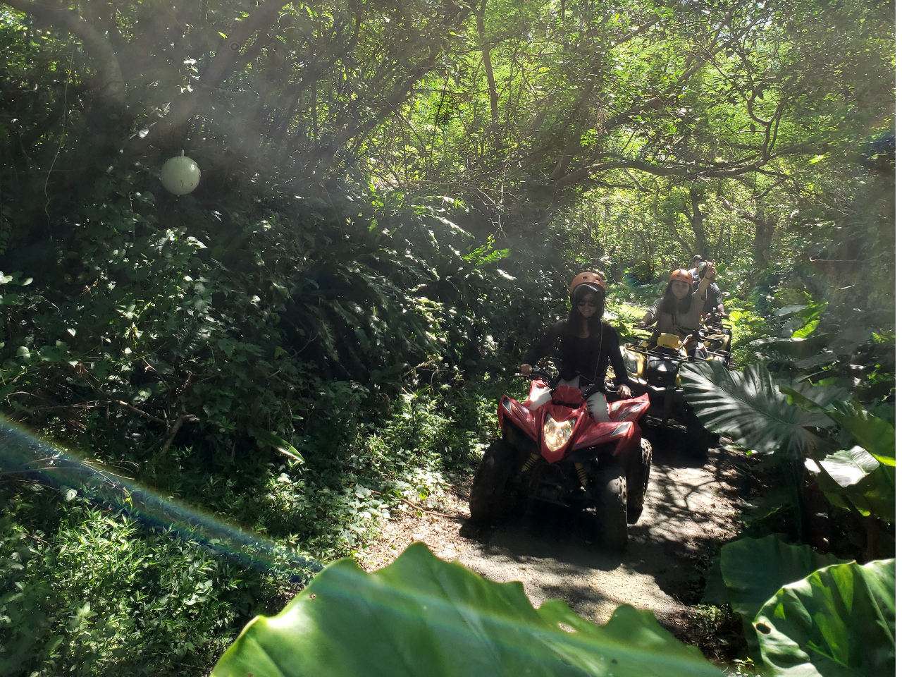 ジャングルコース!この先にはいったい何が…