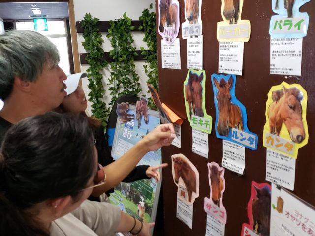 今日見た子どれだっけ〜?