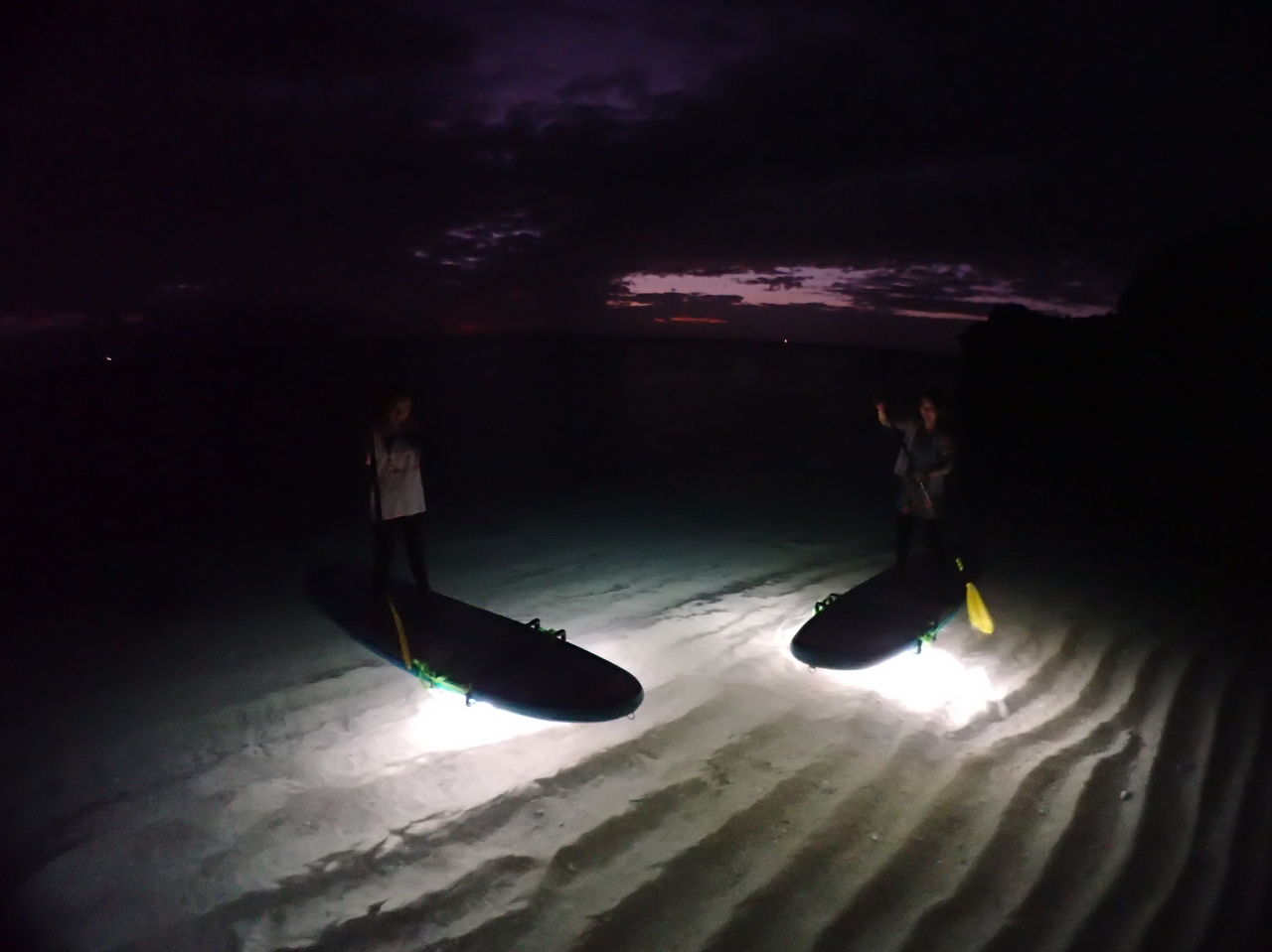 ܂ŒɕĂ悤ɌsvcȊoI