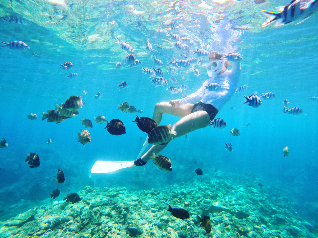 �y�ŐVGoPro�ŎB�e�I�z�����ł̎v���o�́A�L�p���Y��ȉ掿�ŎB��̂Ő��ʂ̃L���L���܂ł�������ʂ�܂��I