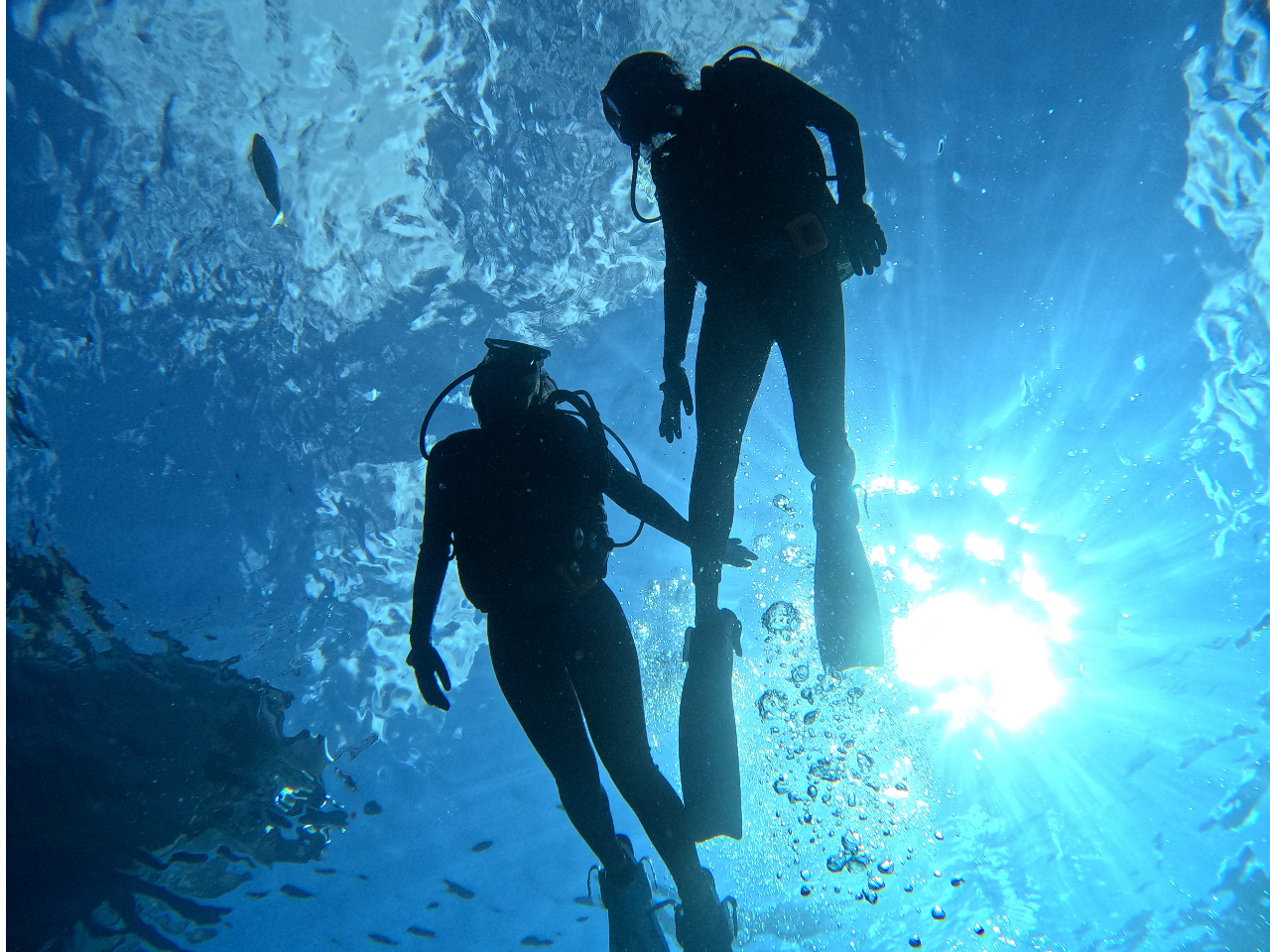 �y�ŐVGoPro�ŎB�e�I�z�����ł̎v���o�́A�L�p���Y��ȉ掿�ŎB��̂Ő��ʂ̃L���L���܂ł�������ʂ�܂��I
