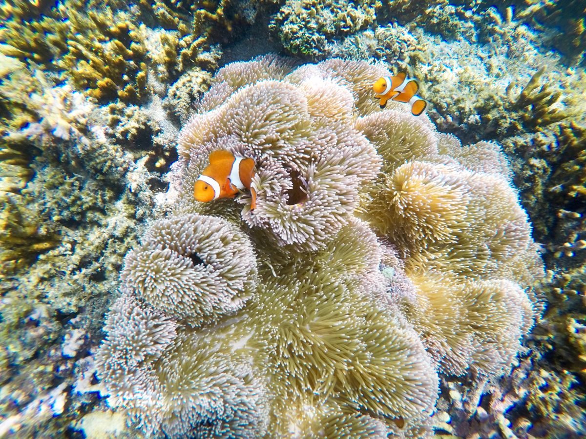 킢JNN}m~Cłȋ|Cgy߂܂I