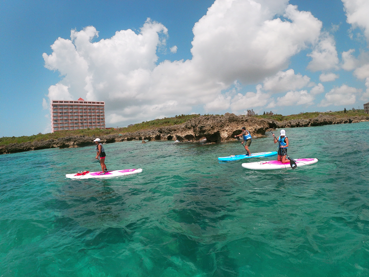 ���ɉ�����Ȃ���������{�Ó��̊C�����\�I