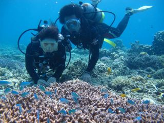 世界トップクラスの海 座間味で体験ダイビング カラフルなサンゴ礁とトロピカルな魚たちと一緒に泳ごう 泳ぎが苦手な方でも大丈夫 女性同士 カップルにおすすめ ダイビングチーム あなたの清 じゃらん遊び体験 世界トップクラスの海 座間味で体験ダイビング カラフルなサンゴ礁とトロピカルな魚たちと一緒に泳ごう 泳ぎが苦手な方でも大丈夫 女性同士 カップルにおすすめ ダイビングチーム あなたの清 じゃらん遊び体験