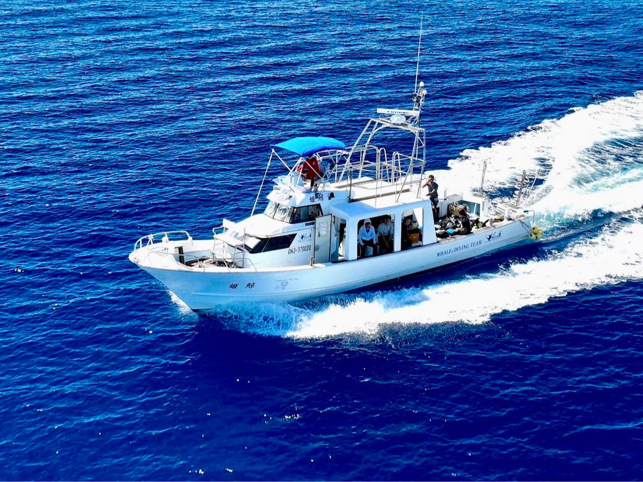 慶良間ブルー専用 Sv-nec15-2（ケラマブルー） ケラマブルー 国立公園として指定された慶