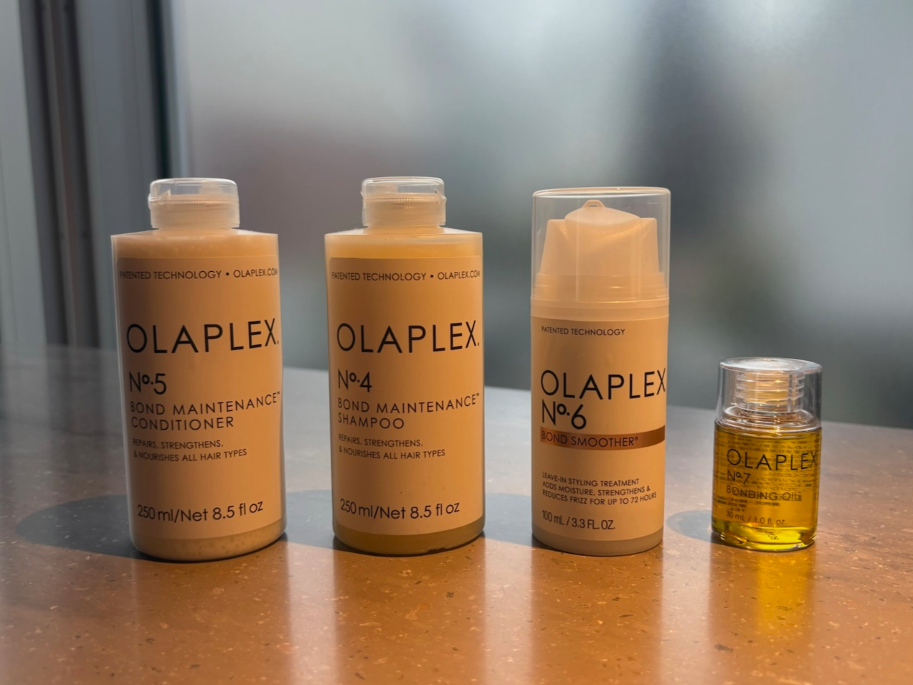 _V[ɂ̓Vv[ERfBVi[E{fB\[v^