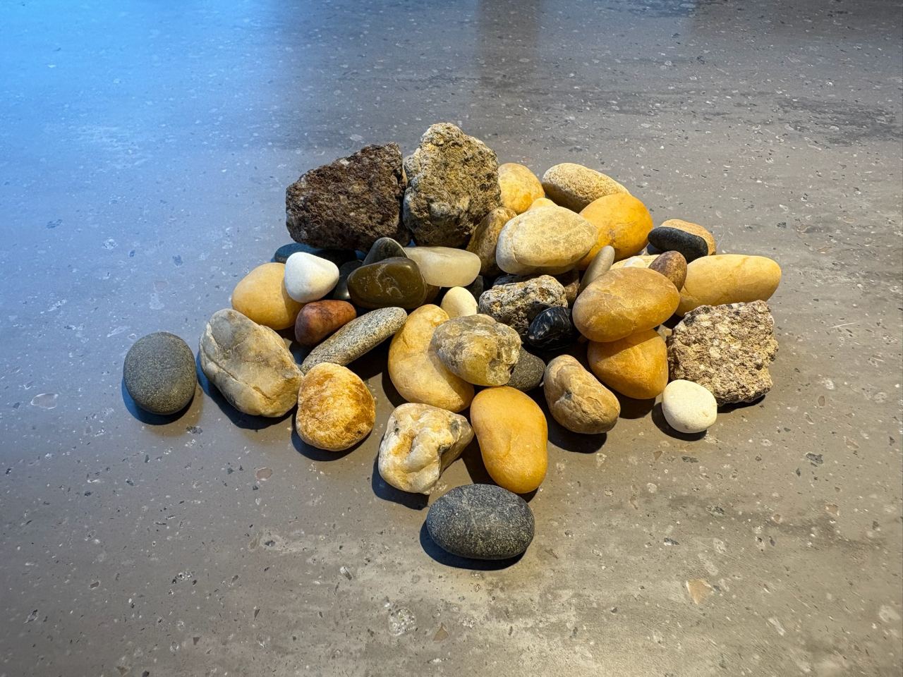 _VRz΂炷Lxȃ~l^Iꂽ15ނ̓VRz΂gpA̐΂o~lƉԊOʂő̂c牷߂܂I