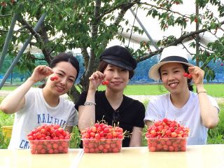 園主が愛情たっぷりで育てたサクランボをご堪能ください♪♪♪