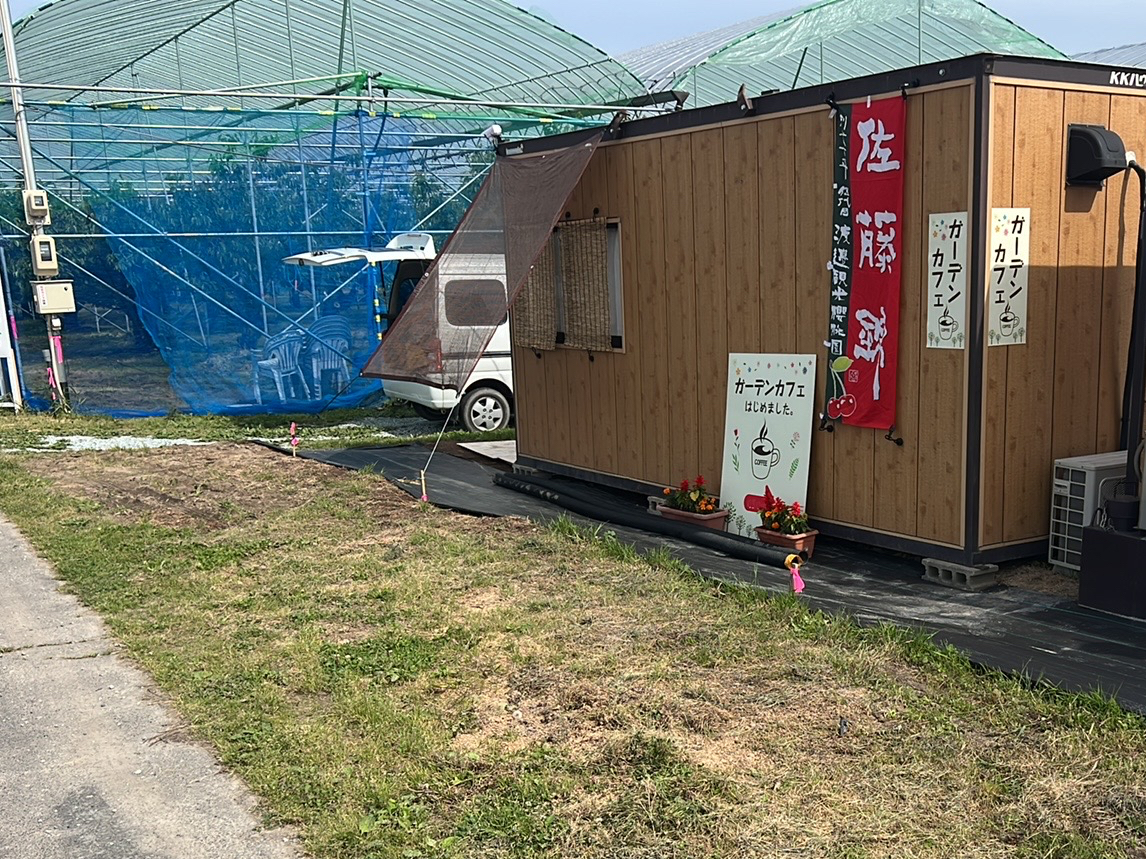 �n糊ό��N�����@�ē���������