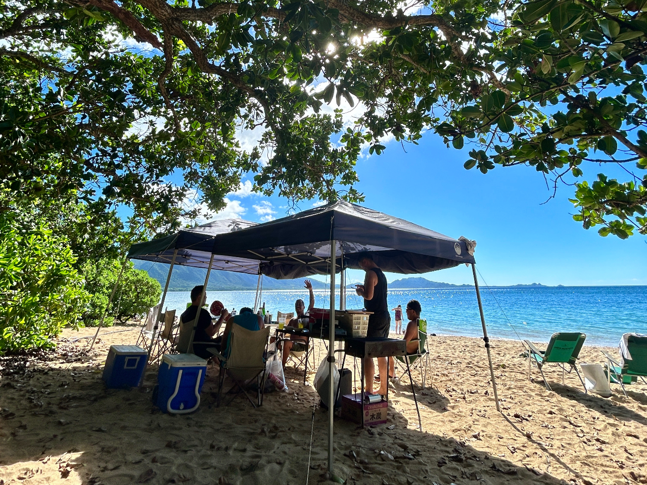 �̂�т肷��̂��ǂ�