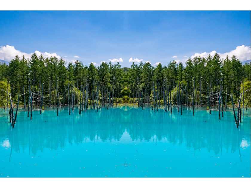 �W�X�ƍ~�肻�����A���z�̌����z�����_��ȃG�������h�O���[���̋P���������Ă���܂��B