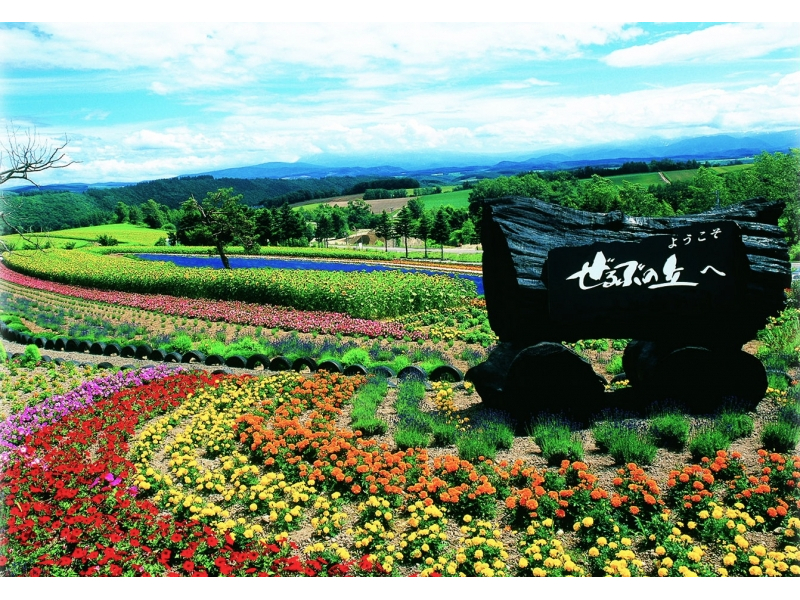 �L��ȕ~�n�̒��ɁA�l�G�܁X�̉ԁX�����ł鎖���o���A�o�M�[�ŕ~�n������鎖���o���܂��B