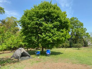 Ž„“I‚ȃƒP[ƒVƒ‡ƒ“‚ÅBBQ