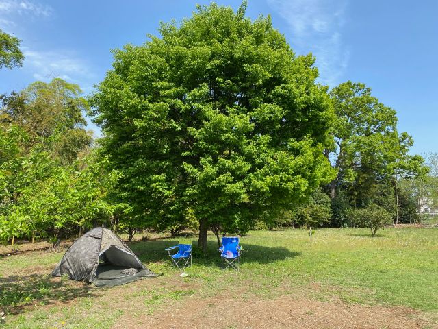 私的なロケーションでBBQ